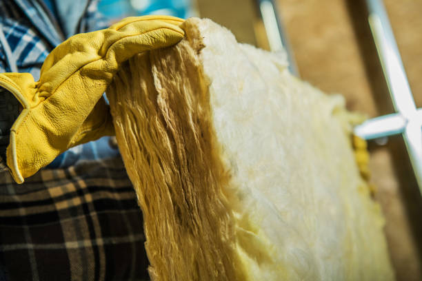 Best Insulation Maintenance and Repair in De Smet, SD